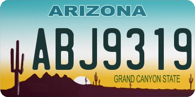 AZ license plate ABJ9319