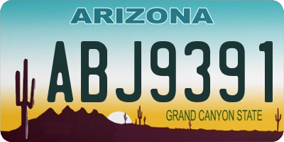 AZ license plate ABJ9391
