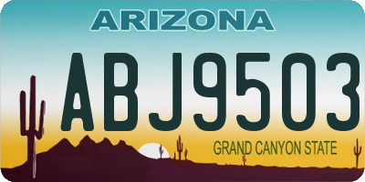 AZ license plate ABJ9503