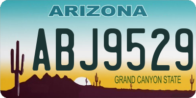AZ license plate ABJ9529