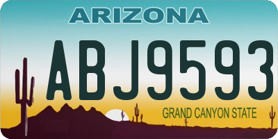 AZ license plate ABJ9593
