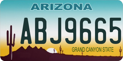 AZ license plate ABJ9665