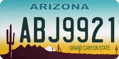 AZ license plate ABJ9921