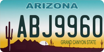AZ license plate ABJ9960