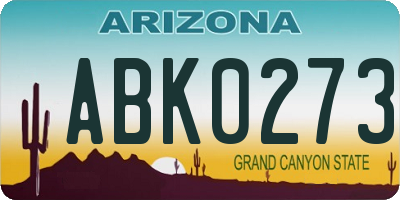 AZ license plate ABK0273