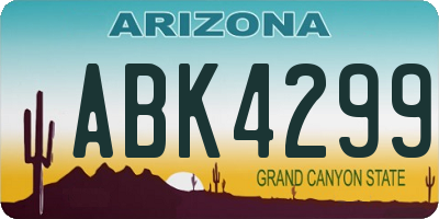 AZ license plate ABK4299