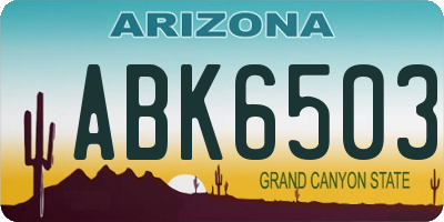 AZ license plate ABK6503