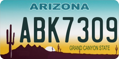 AZ license plate ABK7309