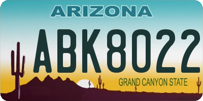 AZ license plate ABK8022
