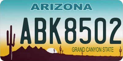 AZ license plate ABK8502