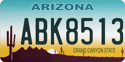 AZ license plate ABK8513