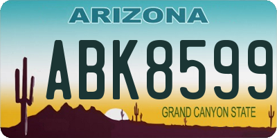 AZ license plate ABK8599