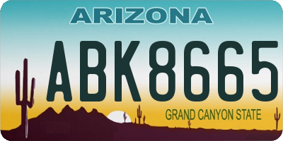 AZ license plate ABK8665