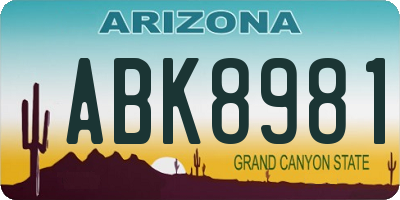 AZ license plate ABK8981