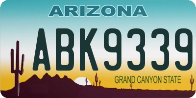 AZ license plate ABK9339