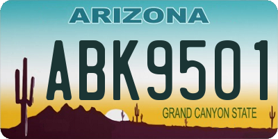 AZ license plate ABK9501
