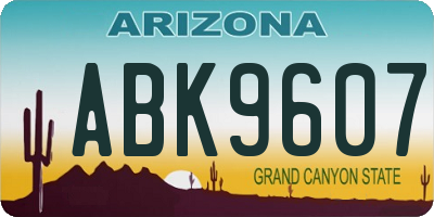 AZ license plate ABK9607