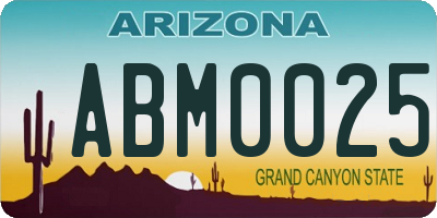 AZ license plate ABM0025