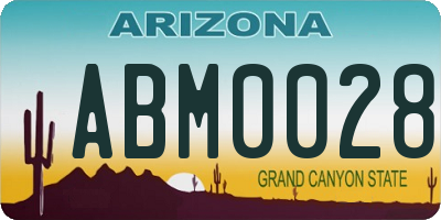 AZ license plate ABM0028