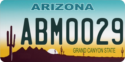 AZ license plate ABM0029