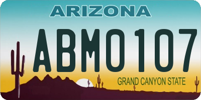 AZ license plate ABM0107