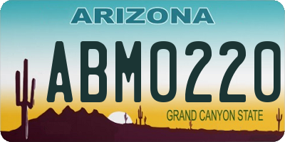 AZ license plate ABM0220