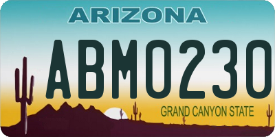 AZ license plate ABM0230