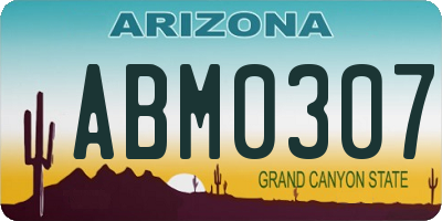 AZ license plate ABM0307