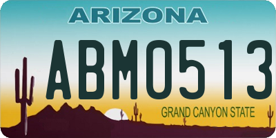 AZ license plate ABM0513