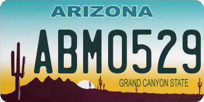 AZ license plate ABM0529