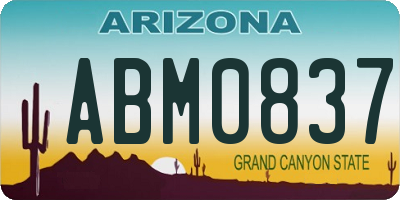 AZ license plate ABM0837