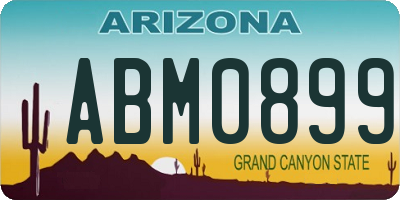 AZ license plate ABM0899