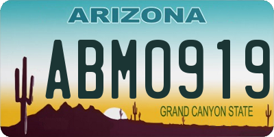 AZ license plate ABM0919