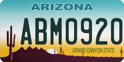 AZ license plate ABM0920