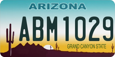 AZ license plate ABM1029