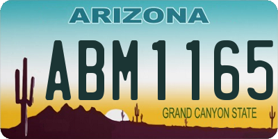AZ license plate ABM1165