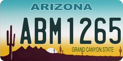 AZ license plate ABM1265