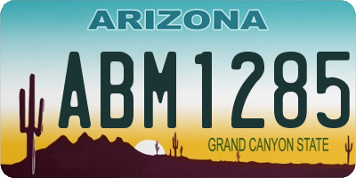 AZ license plate ABM1285