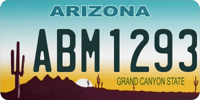 AZ license plate ABM1293