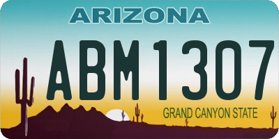 AZ license plate ABM1307