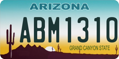AZ license plate ABM1310