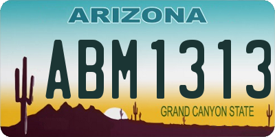 AZ license plate ABM1313