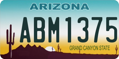 AZ license plate ABM1375