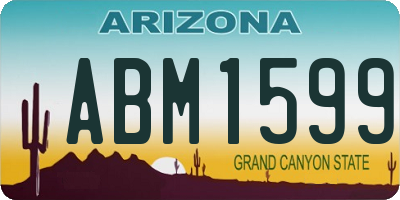 AZ license plate ABM1599