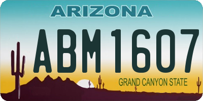 AZ license plate ABM1607