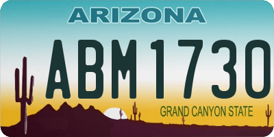 AZ license plate ABM1730