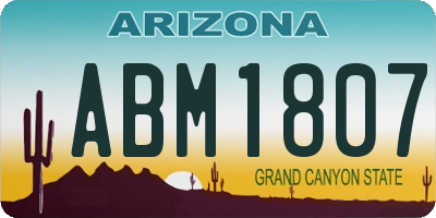 AZ license plate ABM1807