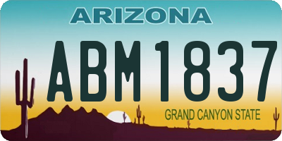 AZ license plate ABM1837