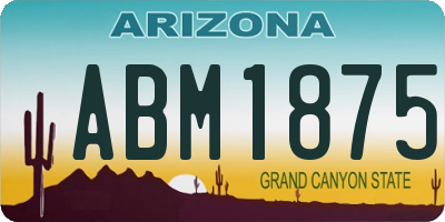 AZ license plate ABM1875