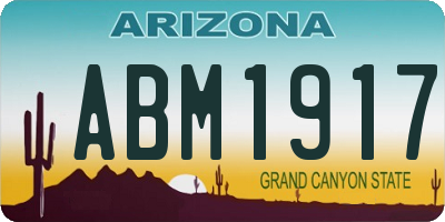 AZ license plate ABM1917